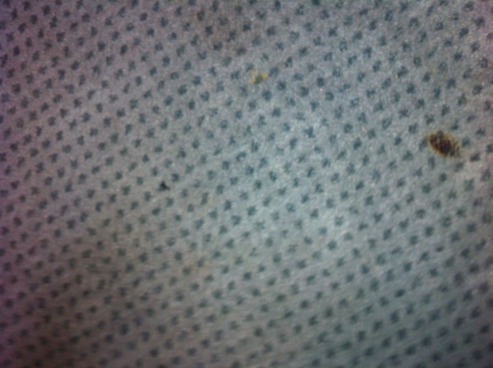 Flecken und Brandlöscher im Teppich June Six Hotel Hannover City