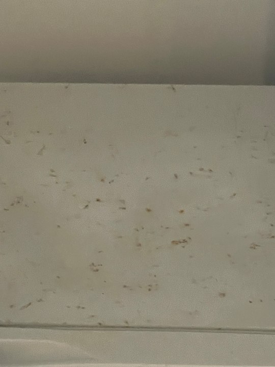 Zimmer TMK Marine Beach by Turismark