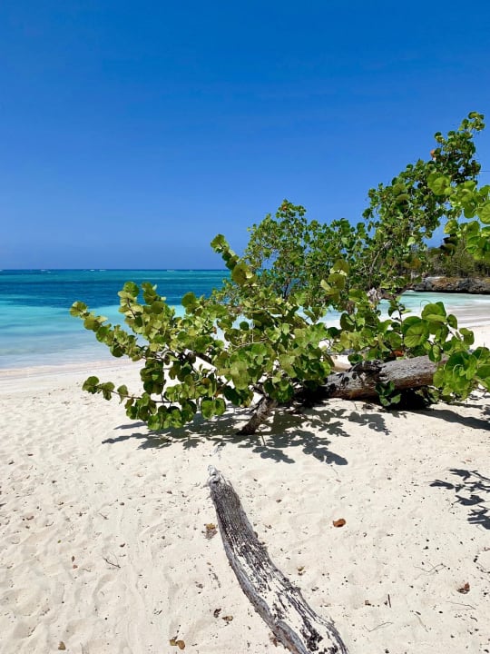 Strand Paradisus Rio de Oro Resort & Spa - Adults only