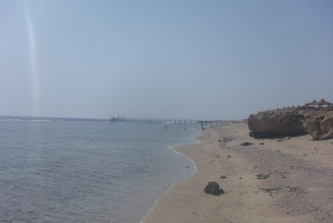 Seichtes Wasser mit Korallen bis zur Riffkante Three Corners Sea Beach Resort