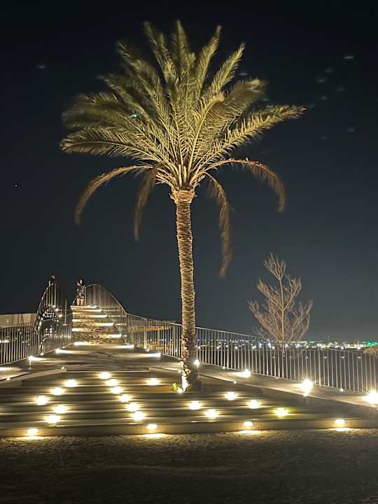 Gartenanlage Desert Rose