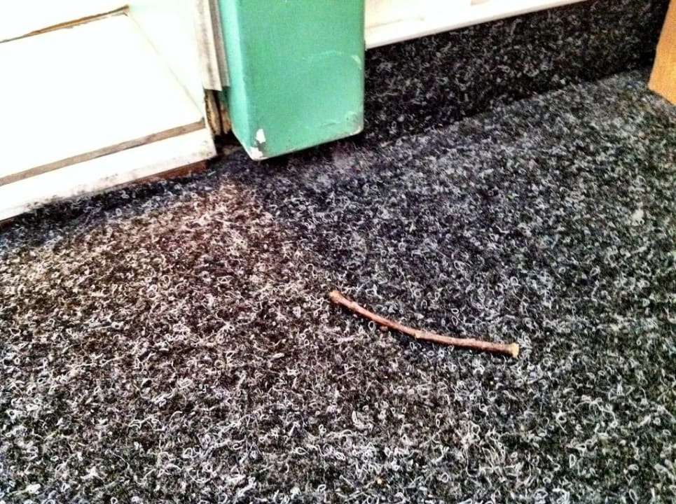 Offensichtlicher Dreck Hotel Wolters