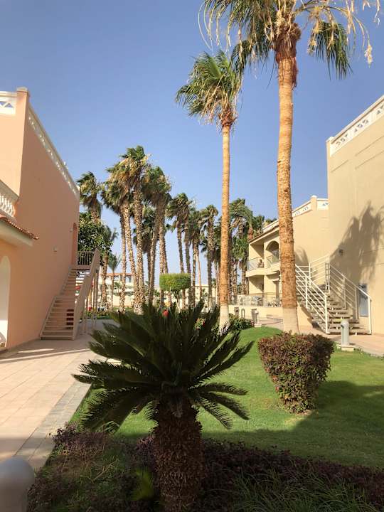 Garten Beach Albatros Resort