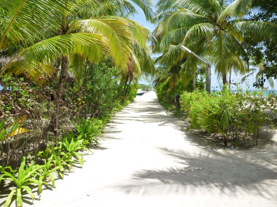 Straße Richtung Anlegesteg Kuredu Island Resort & Spa