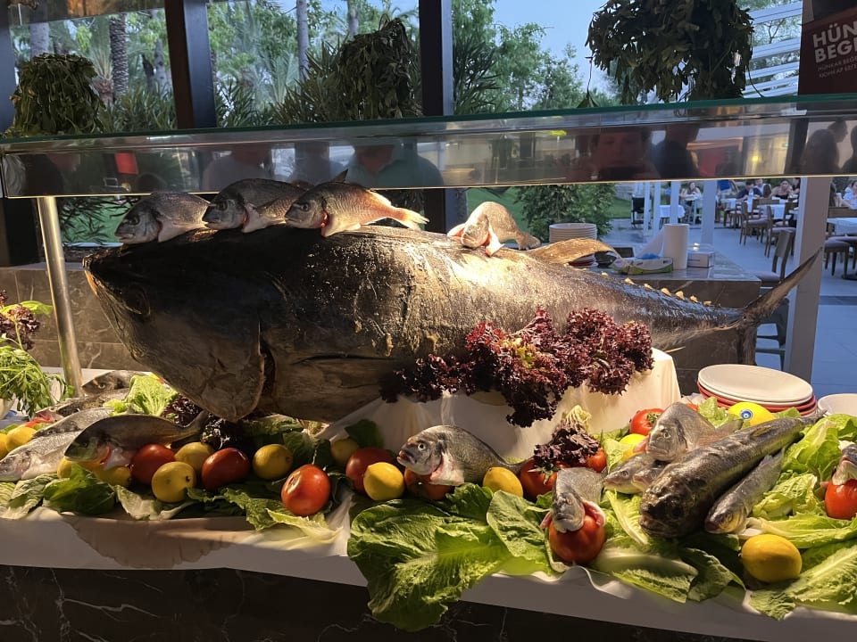 Gastro Monachus Family Resort Sorgun