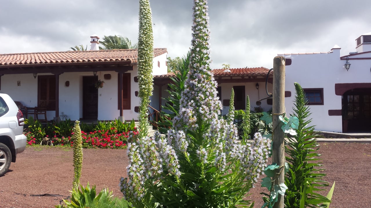 Gartenanlage Guesthouse Finca El Picacho-Tenerife