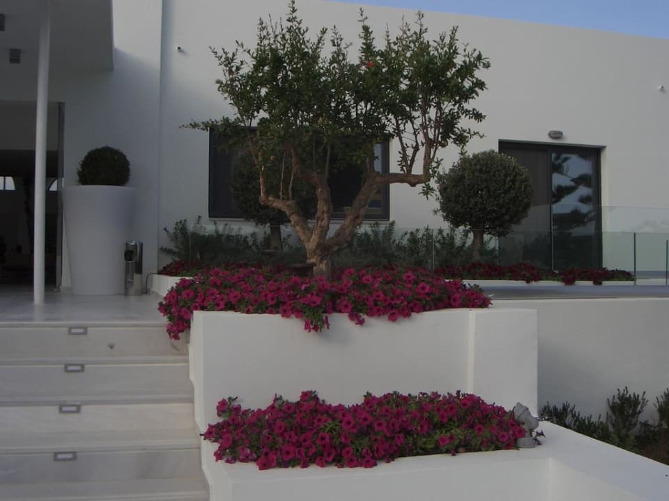 Garten TUI BLUE Oceanis Beach and Spa Resort