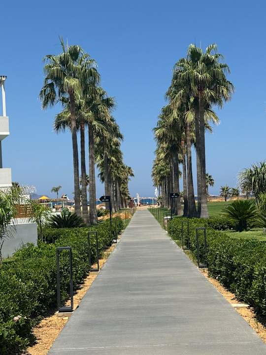 Gartenanlage Delfina Tropic Beach