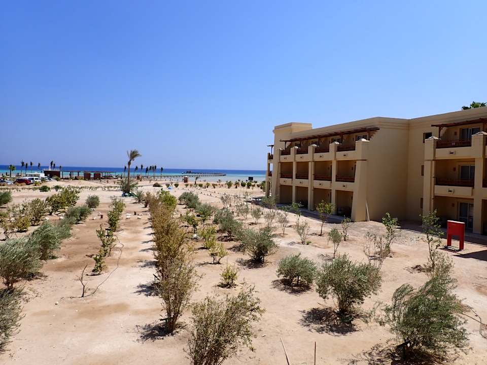 Ausblick Hotel Sheraton Soma Bay Resort