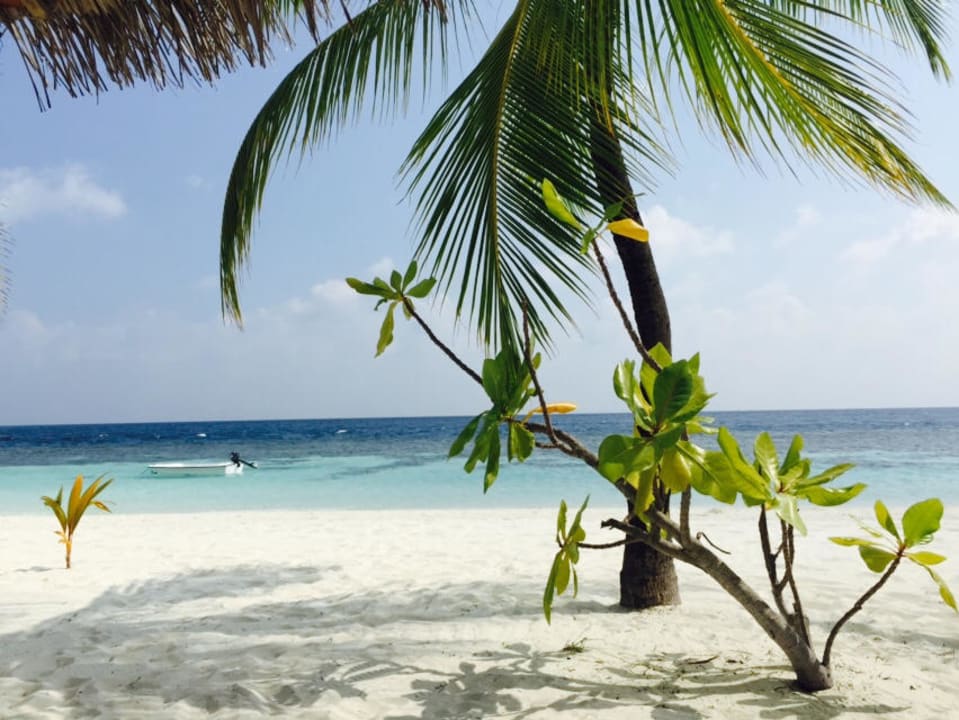 Paradise  ananea Diamonds Athuruga