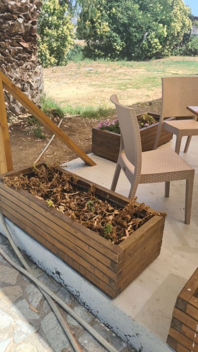 Außenansicht Smy Kos Beach & Splash