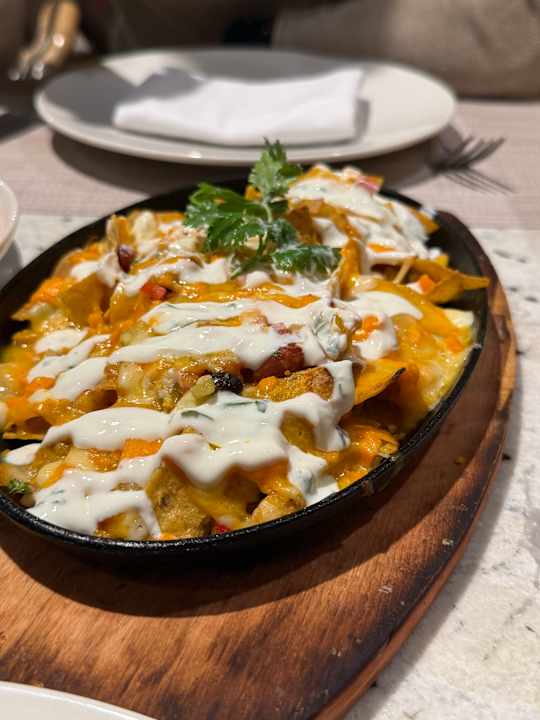 Gastro JAZ Elite Asteria