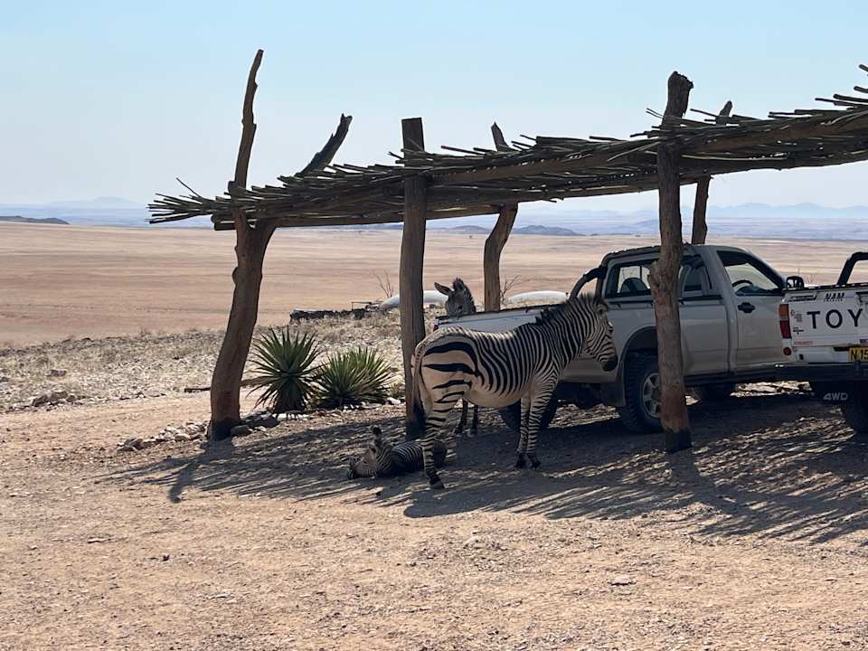 Außenansicht Hotel Rostock Ritz