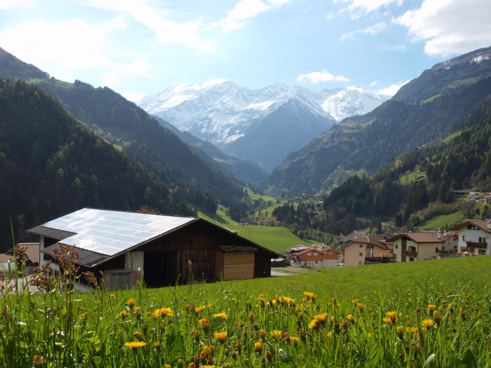 Ausblick vor dem Hotel Panoramahotel Wildschütz
