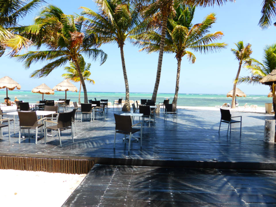 Poolbarterrasse PavoReal Beach Resort Tulum