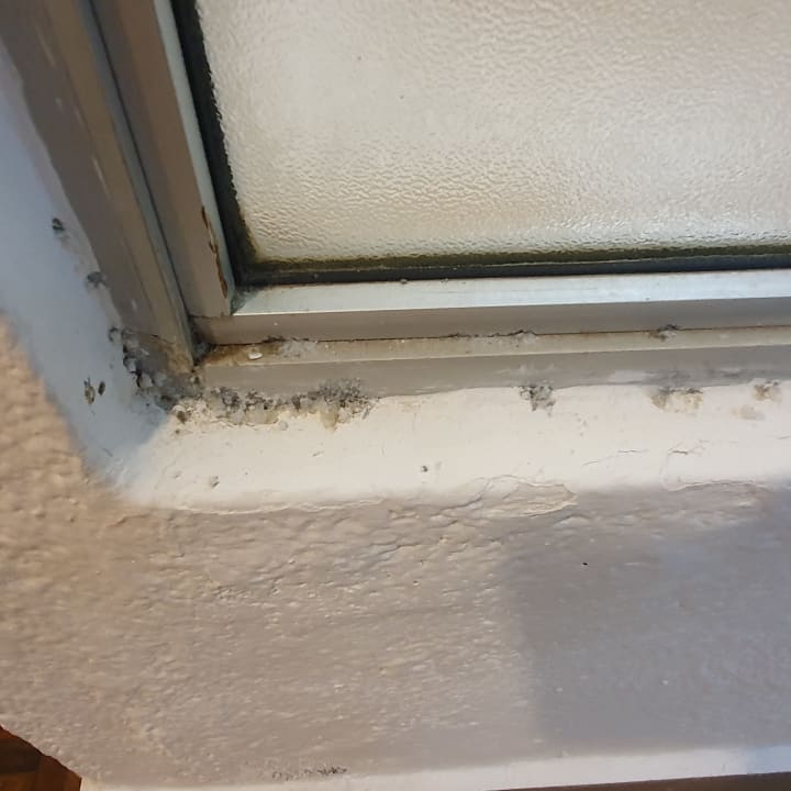 Zimmer Hotel Traveller's Club