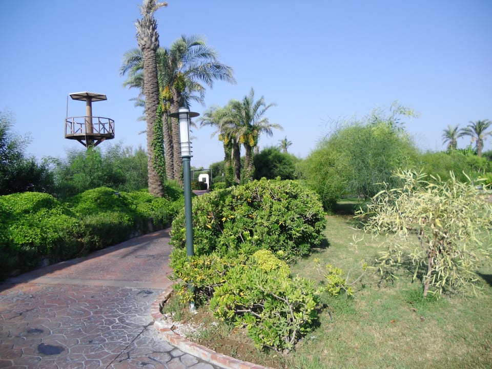 Gepflegte und schön angelegte Anlage Hotel Miracle Resort