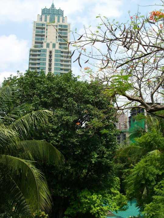 Sehr grün mitten in Bangkok Movenpick BDMS Wellness Resort Bangkok