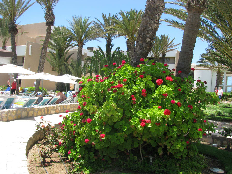 Außenansicht Dunes D'or Ocean Club