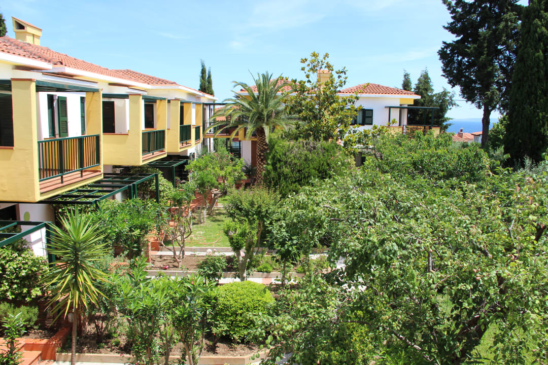 "Außenansicht" Elia Apartments Afytos (Afytos) • HolidayCheck