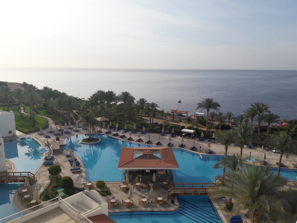 Pool Siva Sharm