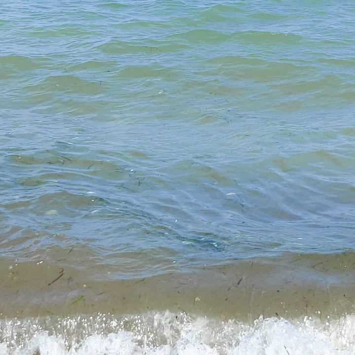 Strand Hotel Royal Nozha