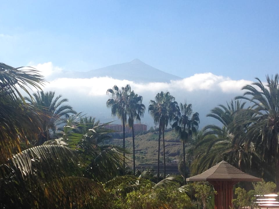 Ausblick Hotel Botanico & The Oriental Spa Garden