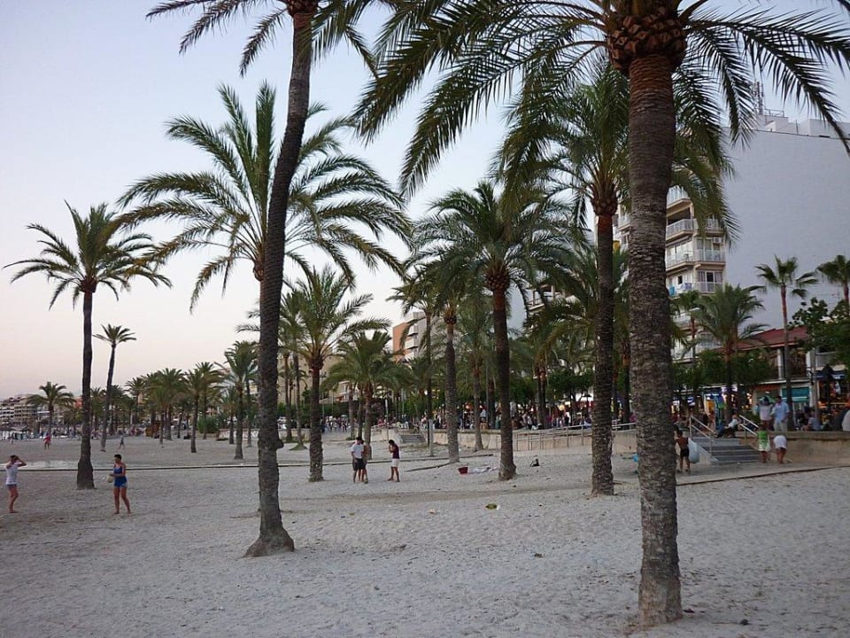 Plaza HSM Reina del Mar