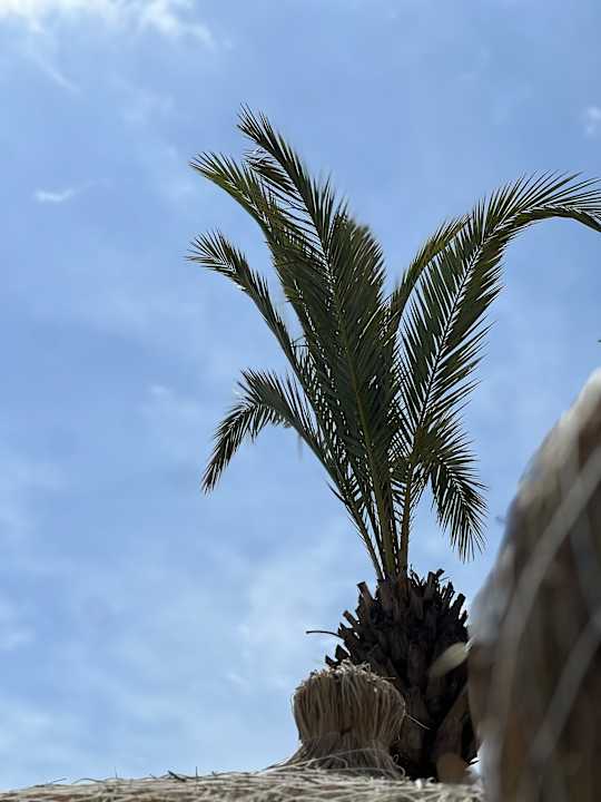 Ausblick Saturn Palace Resort Hotel