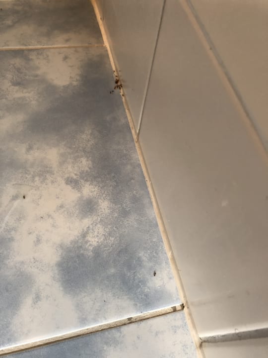 Zimmer City innʼ Olomouc