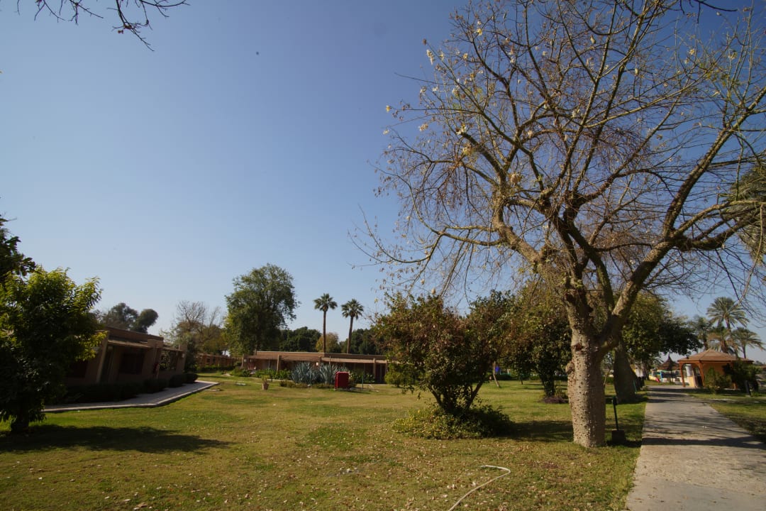 Außenansicht Jolie Ville Kings Island Luxor