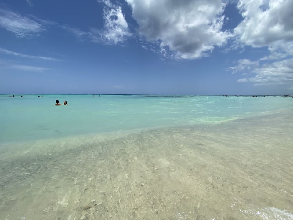 Strand Hotel Viva Dominicus Beach by Wyndham - All Inclusive Resort