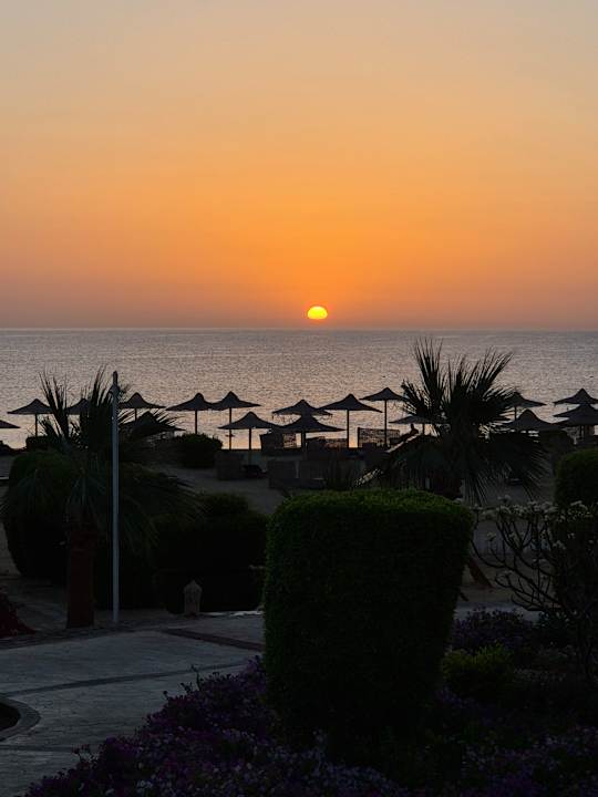 Ausblick Shams Alam Beach Resort