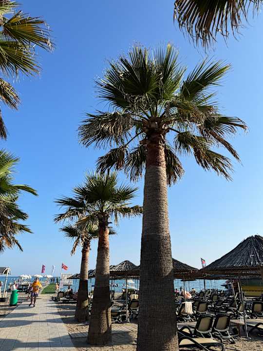 Strand Belek Beach Resort Hotel