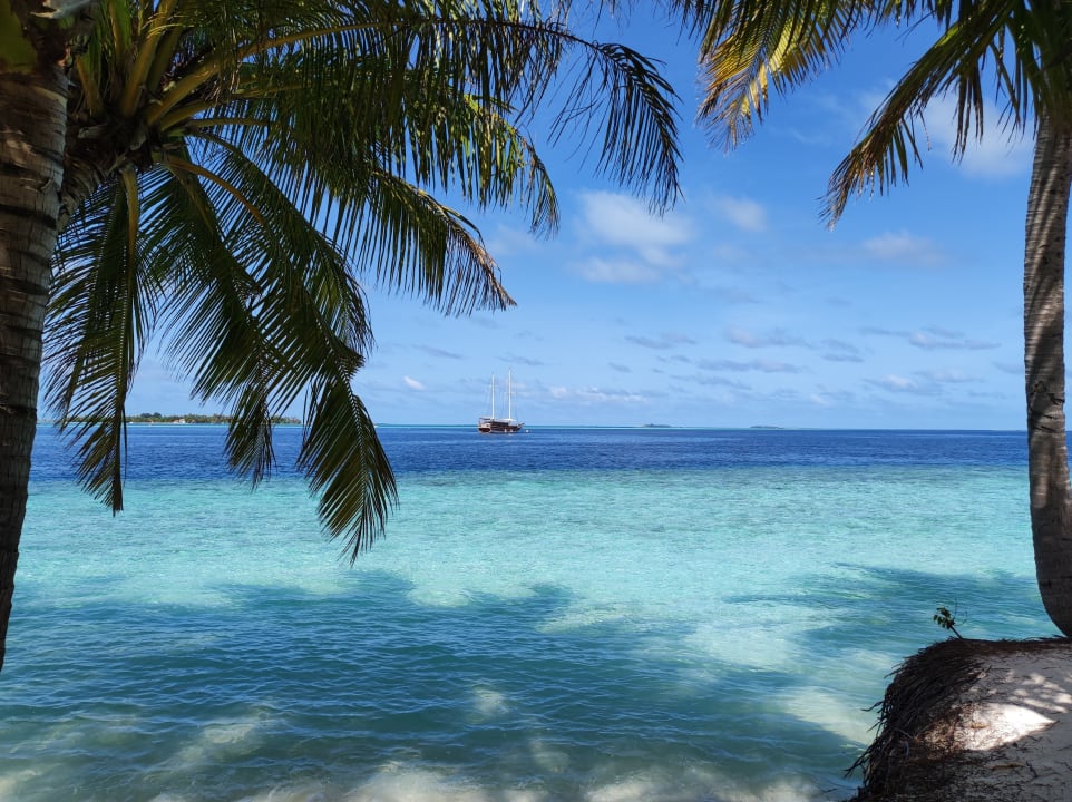 Ausblick Vilamendhoo Island Resort & Spa