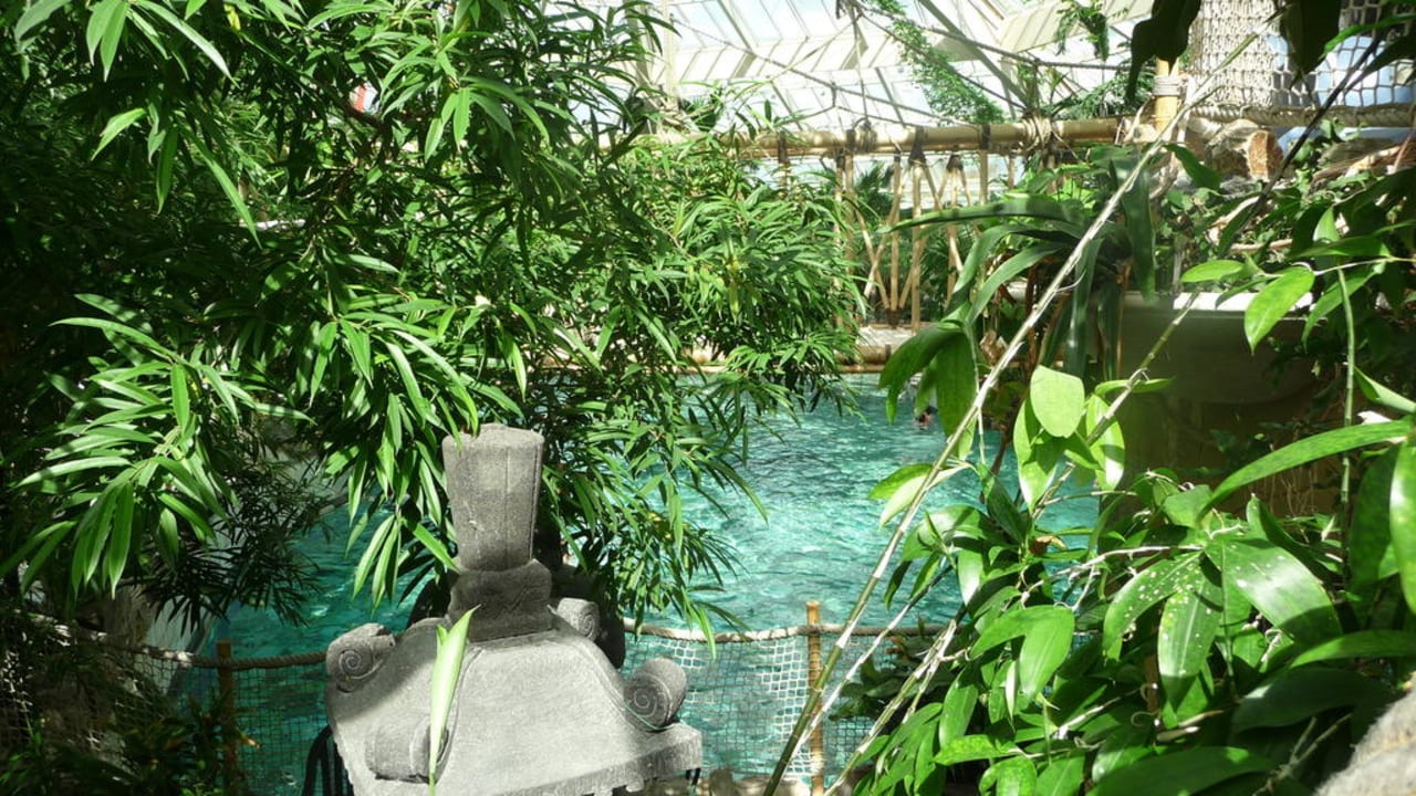 Zwembad Center Parcs De Eemhof
