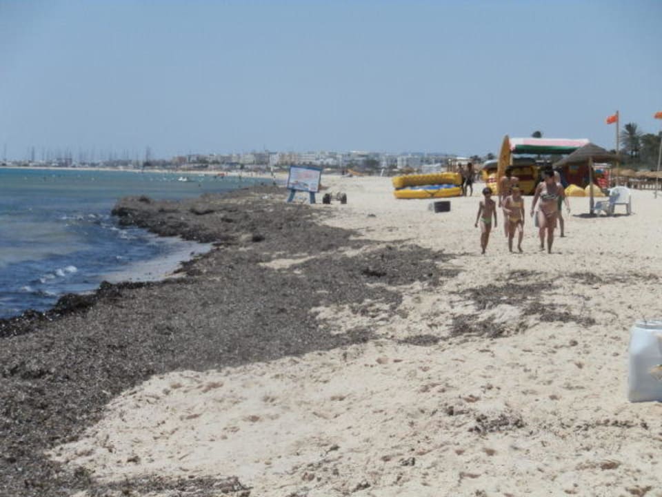 Algen ,tang und massenhaft kamel(sch....) schade  Hotel Nesrine