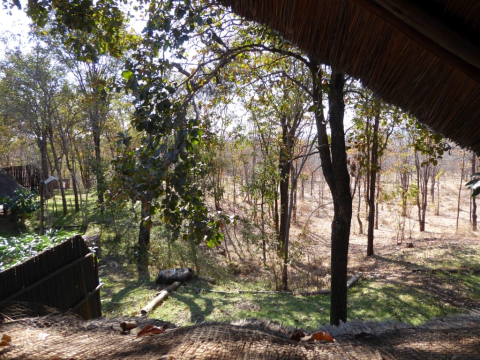 Sonstiges Lokuthula Lodge