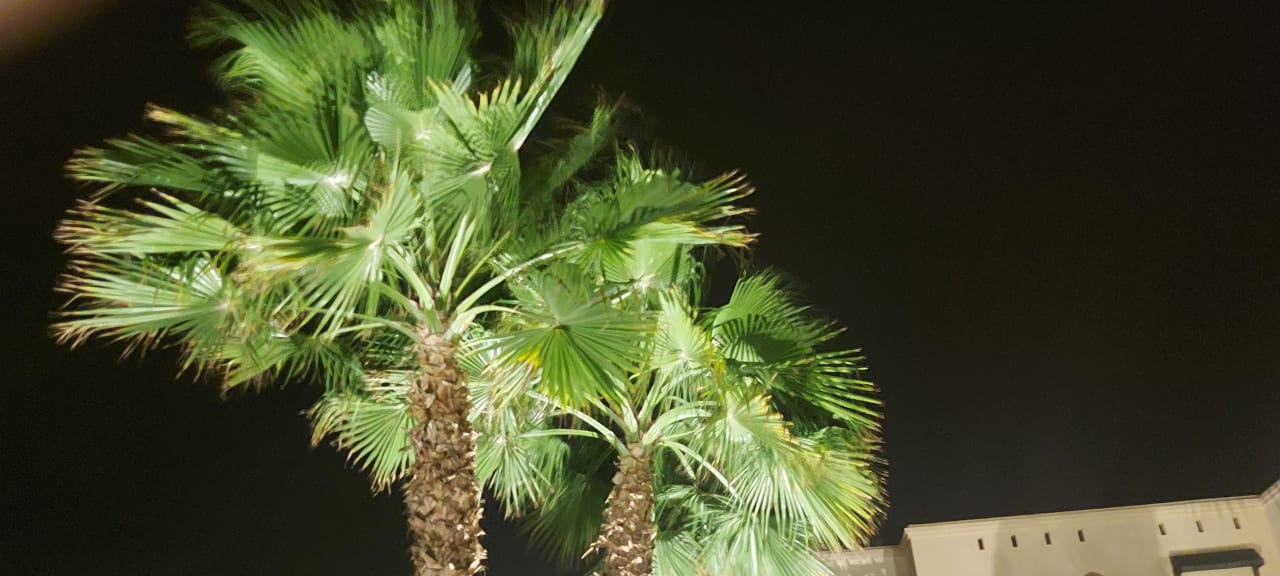 Ausblick Salalah Rotana Resort