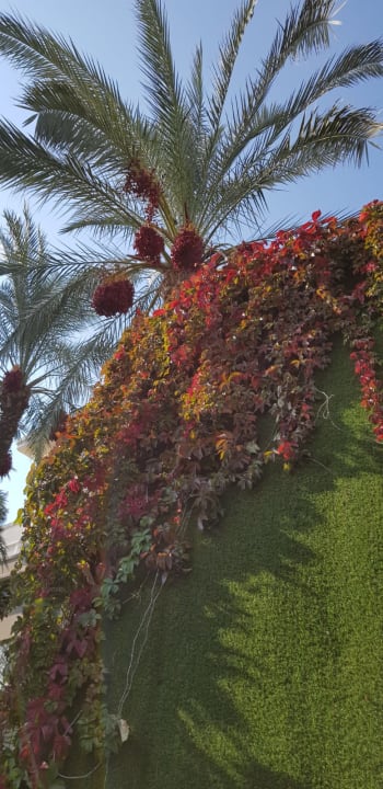 Garten Hotel Delphin Imperial