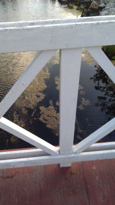 Gewässer am Areal Fiesta Americana Punta Varadero