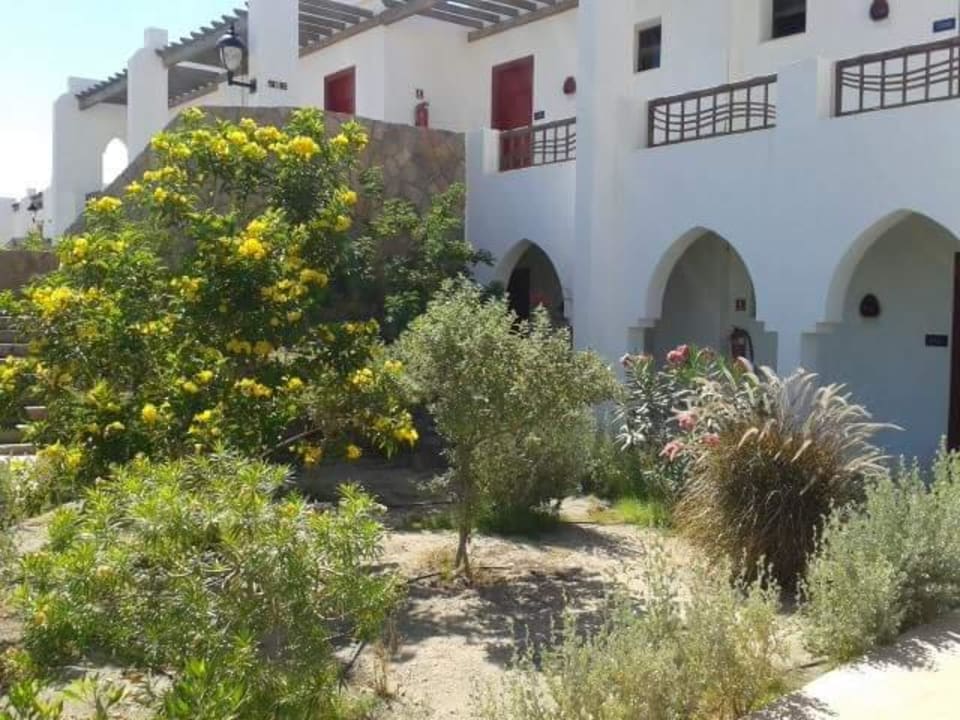 Zimmer  Hotel Gorgonia Beach Resort