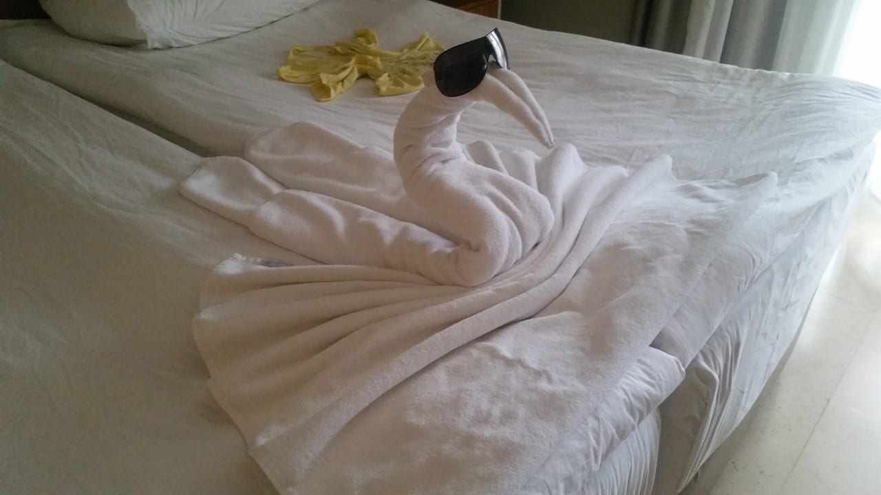 Aufmerksamkeit der Putzfrauen PALOMA Perissia