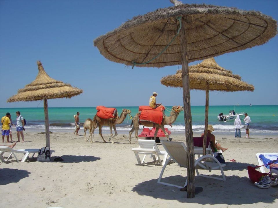 Hotelstrand Iris Hotel & Thalasso