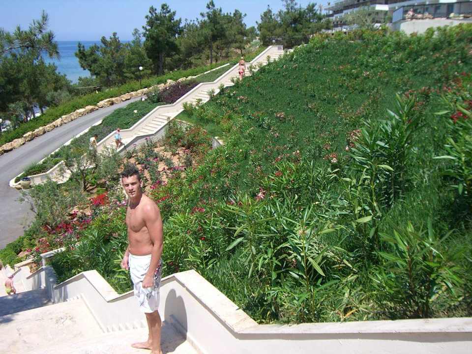 Treppen zum Strand Ikos Oceania