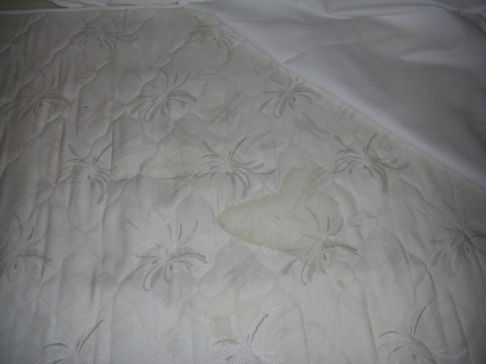 Aussehen der Matratzen Waldhotel Wandlitz