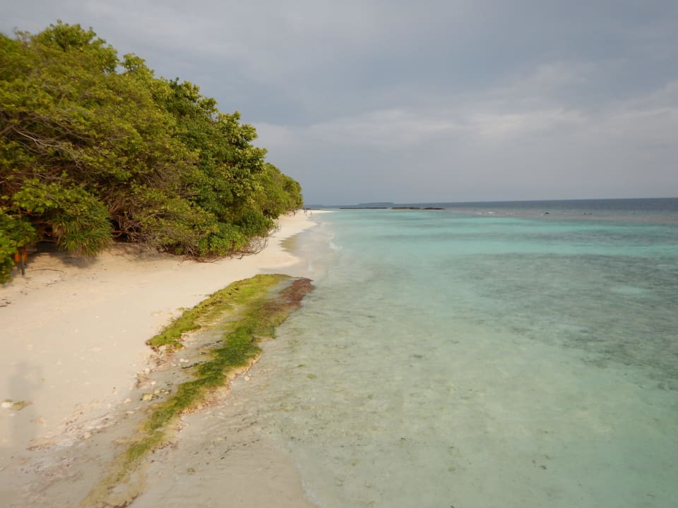 Strand Royal Island