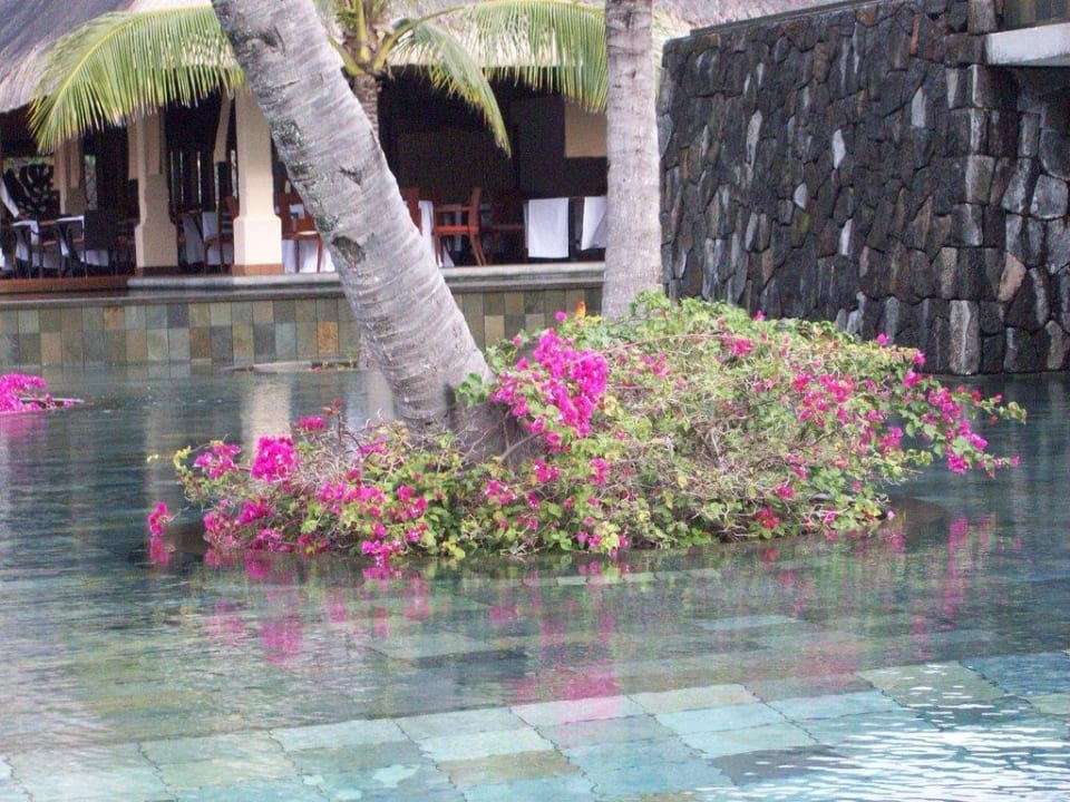 Hotelanlage Constance Belle Mare Plage