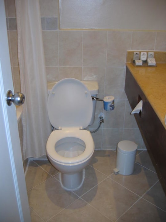 WC Hotel Southern Sun Mayfair