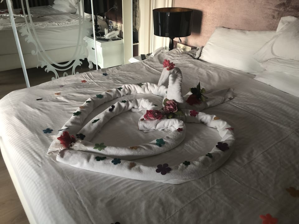 Zimmer Hotel Delphin Imperial